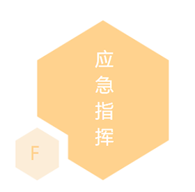 应急指挥